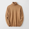 Men's Shape-Holding Ribbed Roll Neck with Tailored Cut - Brown