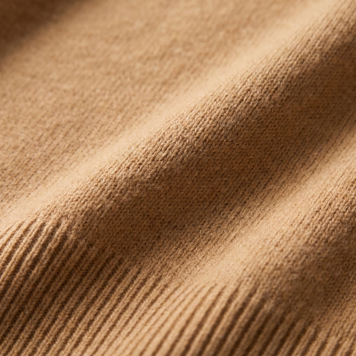 Men's Shape-Holding Ribbed Roll Neck with Tailored Cut