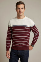 Men's Casual Striped Knit Jumper with Round Neck